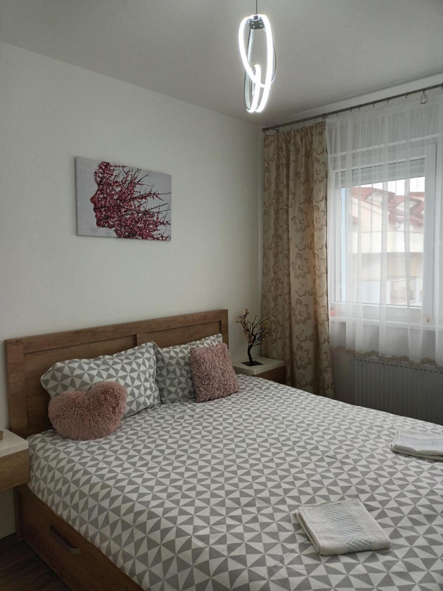 Katarina 3 Apartment Banja Koviljaca Exterior photo